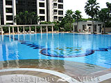 Singapore Condo - Ardmore Park