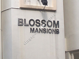BLOSSOM MANSIONS