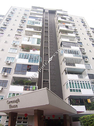 Singapore Picture House on Singapore Condo  Apartment Pictures     Buy  Rent Cavenagh House At