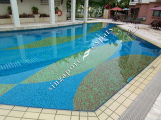 Pictures Springdale Condo Singapore on Singapore Condo  Apartment Pictures     Buy  Rent Fairmount