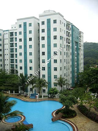 Pictures Springdale Condo Singapore on Singapore Condo  Apartment Pictures     Buy  Rent Springdale In