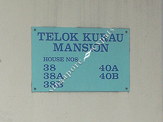 Telok Kurau Park Singapore Pictures on Telok Kurau Mansion   Singapore Condo Directory