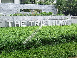 THE TRILLIUM