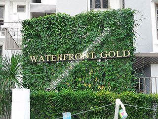 WATERFRONT GOLD
