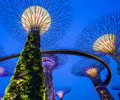 Singapore Expats Guides