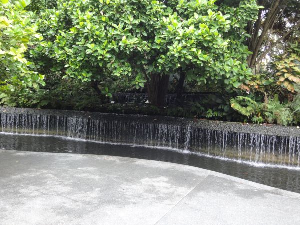 DSC04315.JPG