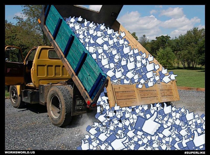 Truckfulloflikes-lg.jpg