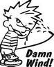 Damnwind.jpg