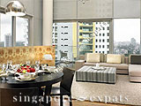 Singapore Condo - Draycott 8