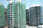 Brand New Condos