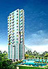 Brand New Condos