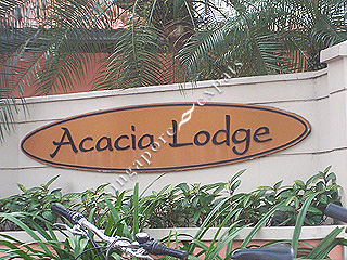 acacia