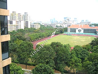 BISHAN 8