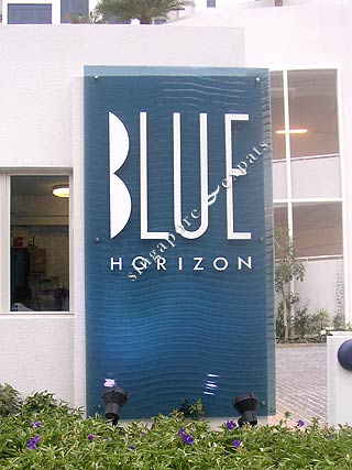 BLUE HORIZON