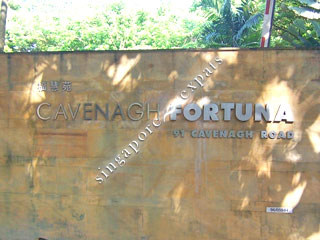 CAVENAGH FORTUNA