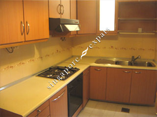 CLEMENTI PARK CONDO