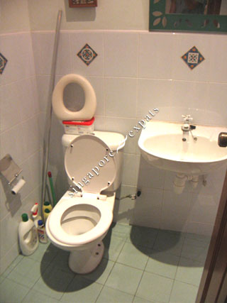 CLEMENTI PARK CONDO