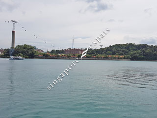 CORALS AT KEPPEL BAY