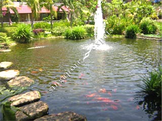 EASTERN LAGOON I