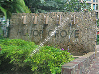 HILLTOP GROVE