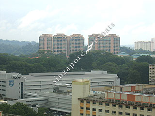 OLEANDER TOWERS