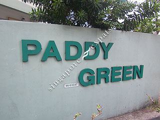 PADDY GREEN