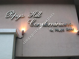 PEPYS HILL CONDO