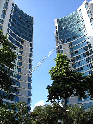 Buy, Rent RAFFLESIA CONDO at 31, 33 BISHAN STREET 21 • Singapore Condo ...