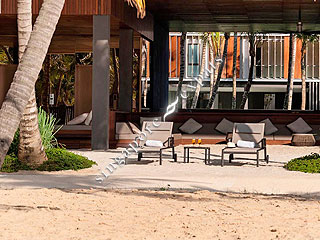 SEVEN PALMS