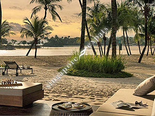 SEVEN PALMS