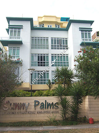 SUNNY PALMS