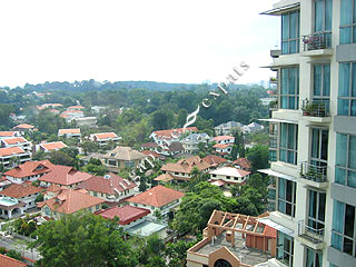 THE EQUATORIAL