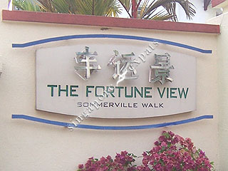 THE FORTUNE VIEW