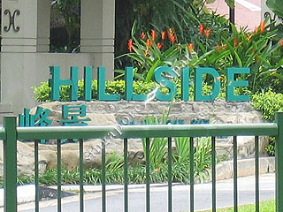 THE HILLSIDE