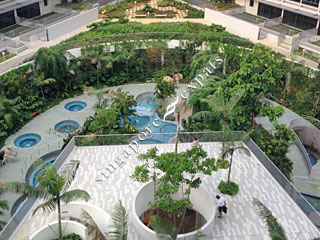 THE INTERLACE