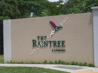 THE RAINTREE