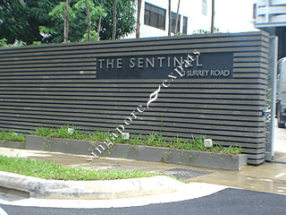 THE SENTINEL