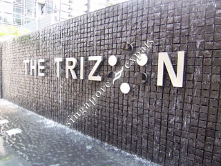 THE TRIZON