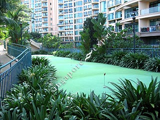THOMSON 800 CONDO