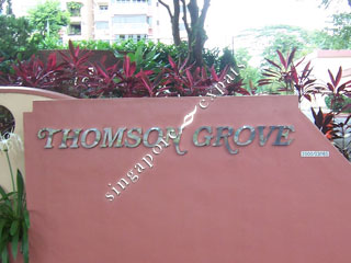 THOMSON GROVE