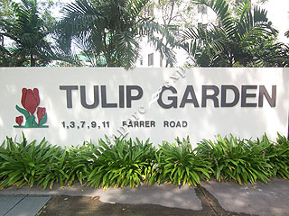 TULIP GARDEN